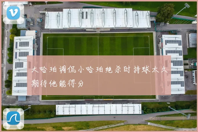 大哈珀调侃小哈珀绝杀时持球太久期待他能得分
