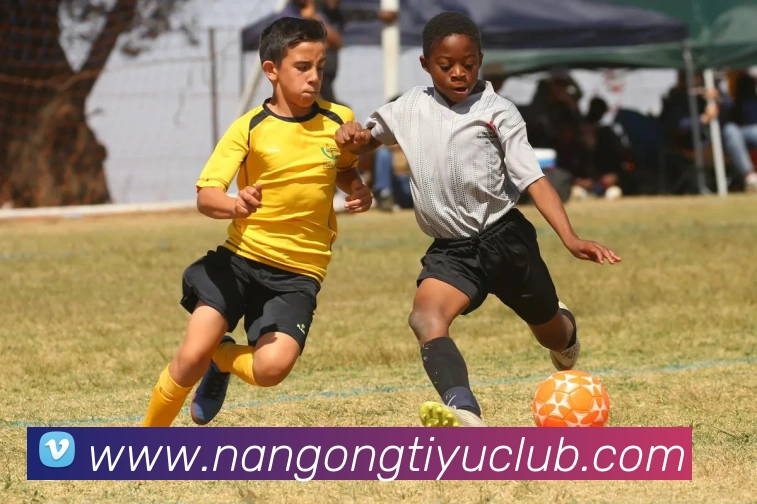 多媒体互动体验